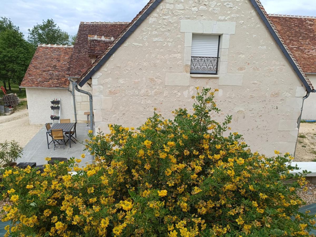 Gite De La Grand Maison Le Noyer Seigy Exterior foto